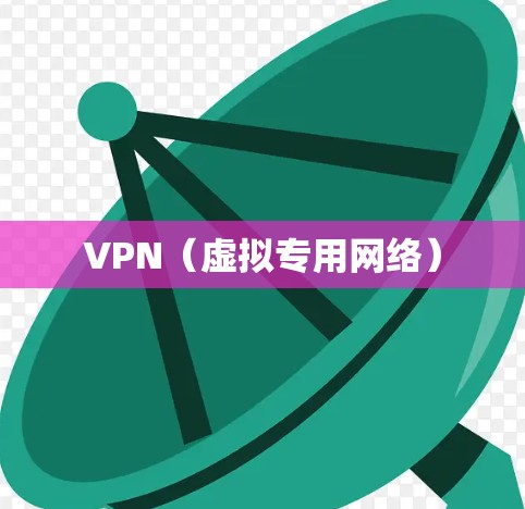 VPN（虚拟专用网络）