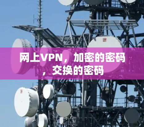 网上VPN,加密的密码,交换的密码 网上VPN,加密的密码,交换的密码