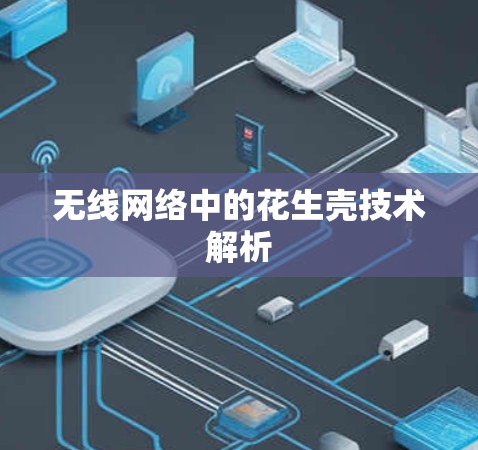 无线网络中的花生壳技术解析