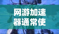 网游加速器通常使用VPN来加速游戏,因为VPN可以帮助你更快地下载和加载游戏文件,尤其是在服务器距离你的服务器较远的情况下。以下是使用VPN加速网游的具体步骤 网游加速器通常使用VPN来加速游戏,因为VPN可以帮助你更快地下载和加载游戏文件,尤其是在服务器距离你的服务器较远的情况下。以下是使用VPN加速网游的具体步骤