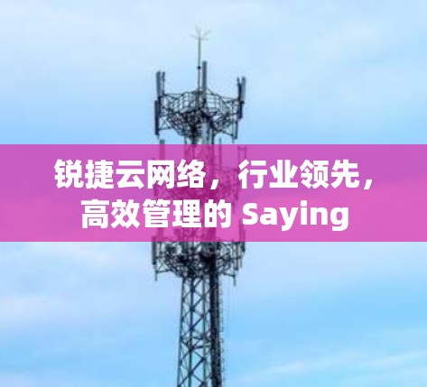 锐捷云网络，行业领先，高效管理的 Saying