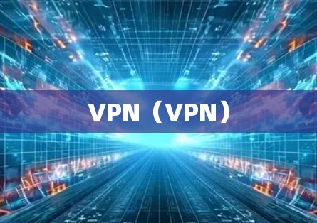 VPN(VPN) VPN(VPN)