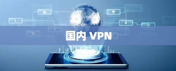 国内 VPN 国内 VPN