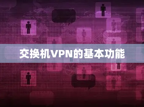 交换机VPN的基本功能 交换机VPN的基本功能