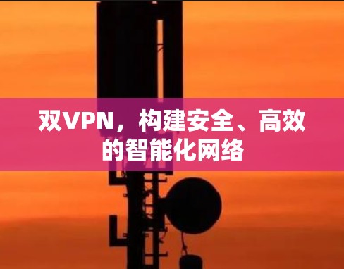 双VPN,构建安全、高效的智能化网络 双VPN,构建安全、高效的智能化网络