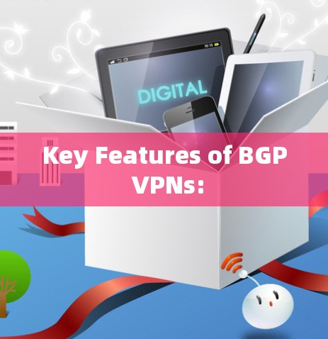 Key Features of BGP VPNs: Key Features of BGP VPNs: