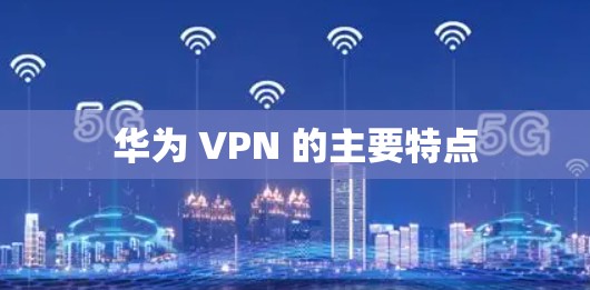 华为 VPN 的主要特点