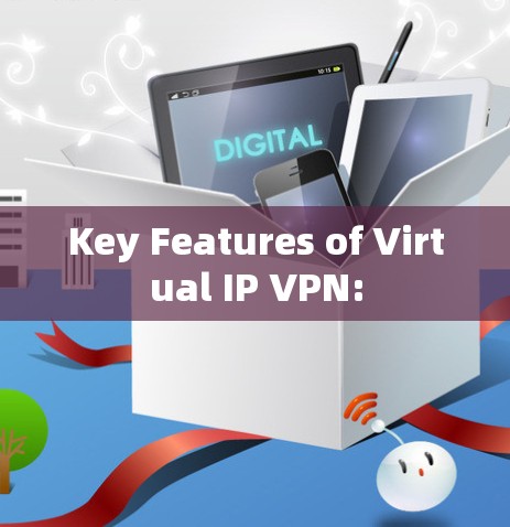 Key Features of Virtual IP VPN: