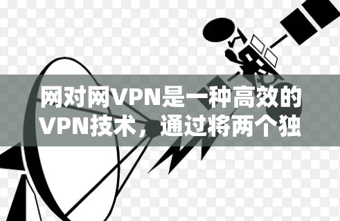 网对网VPN是一种高效的VPN技术，通过将两个独立的服务器连接起来，提供双重安全性。以下是其详细介绍