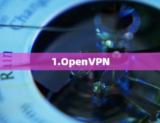 1.OpenVPN 1.OpenVPN