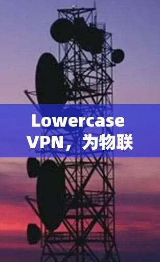 Lowercase VPN,为物联网设备创造安全网络 Lowercase VPN,为物联网设备创造安全网络