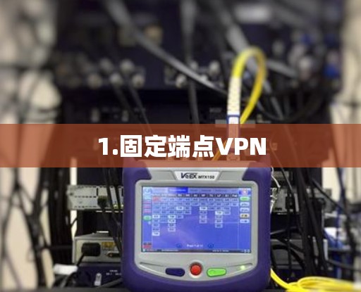 1.固定端点VPN 1.固定端点VPN