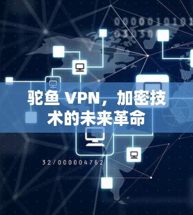 驼鱼 VPN,加密技术的未来革命 驼鱼 VPN,加密技术的未来革命