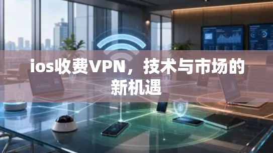 ios收费VPN，技术与市场的新机遇
