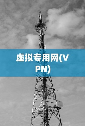 虚拟专用网(VPN)