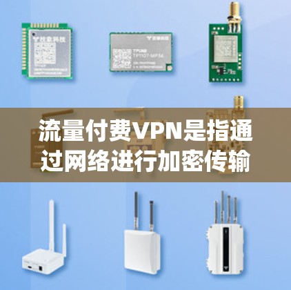 流量付费VPN是指通过网络进行加密传输，保护用户数据安全的VPN服务，但需要用户付费使用，通常包括额外的保护功能和 decrypt 服务