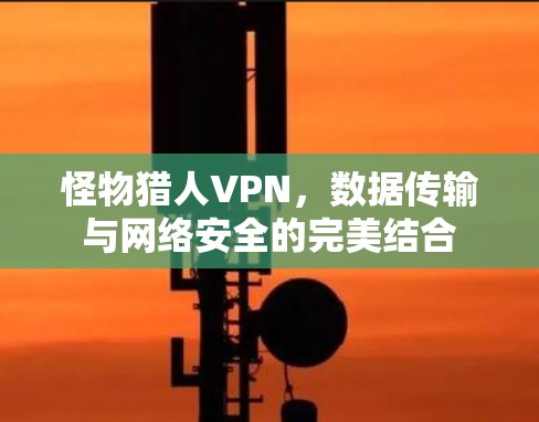 怪物猎人VPN,数据传输与网络安全的完美结合 怪物猎人VPN,数据传输与网络安全的完美结合