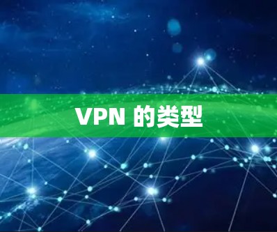 VPN 的类型 VPN 的类型