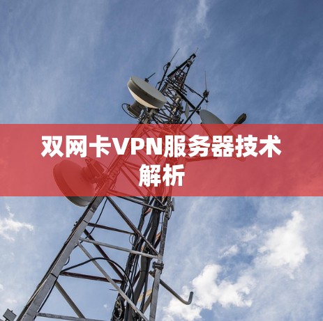 双网卡VPN服务器技术解析 双网卡VPN服务器技术解析