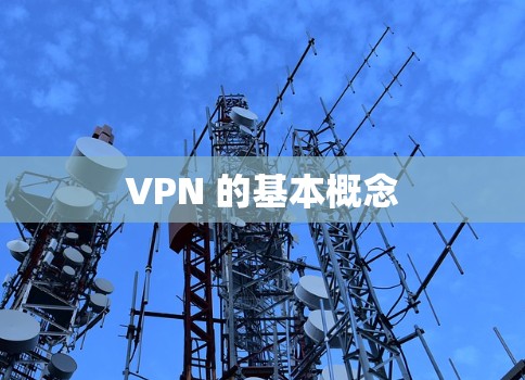 VPN 的基本概念 VPN 的基本概念