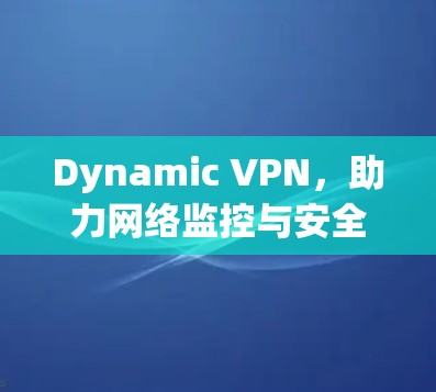 Dynamic VPN,助力网络监控与安全的未来 Dynamic VPN,助力网络监控与安全的未来