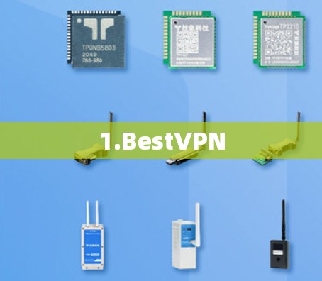 1.BestVPN 1.BestVPN