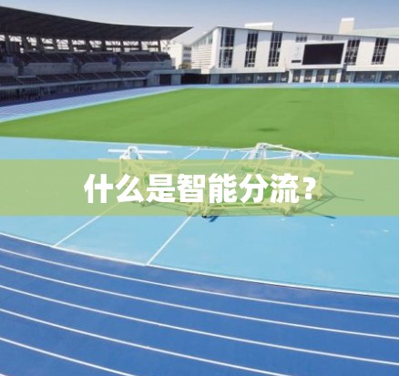 什么是智能分流? 什么是智能分流?