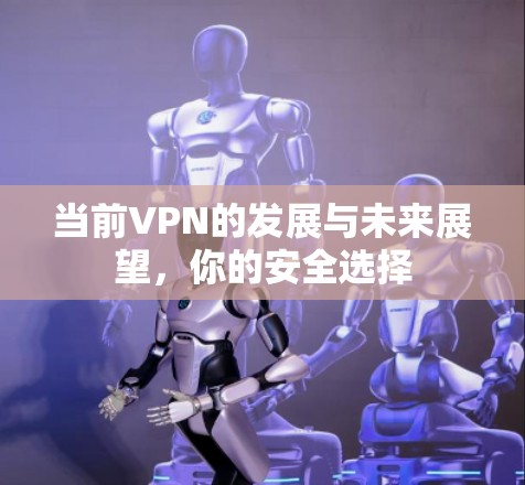 当前VPN的发展与未来展望,你的安全选择 当前VPN的发展与未来展望,你的安全选择