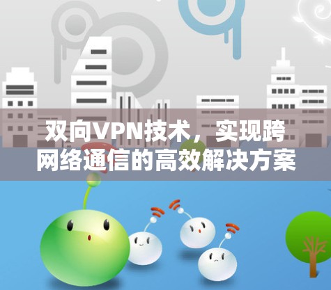 双向VPN技术,实现跨网络通信的高效解决方案 双向VPN技术,实现跨网络通信的高效解决方案