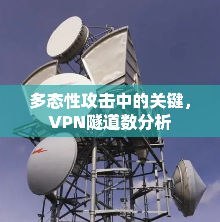 多态性攻击中的关键，VPN隧道数分析