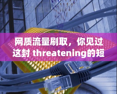 网质流量刷取,你见过这封 threatening的短信吗? 网质流量刷取,你见过这封 threatening的短信吗?