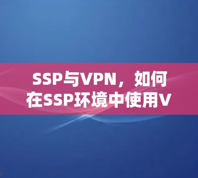 SSP与VPN,如何在SSP环境中使用VPN SSP与VPN,如何在SSP环境中使用VPN