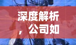 深度解析,公司如何高效搭建VPN,保障内部通信顺畅 深度解析,公司如何高效搭建VPN,保障内部通信顺畅