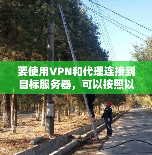 要使用VPN和代理连接到目标服务器，可以按照以下步骤操作