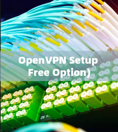 OpenVPN Setup Free Option)