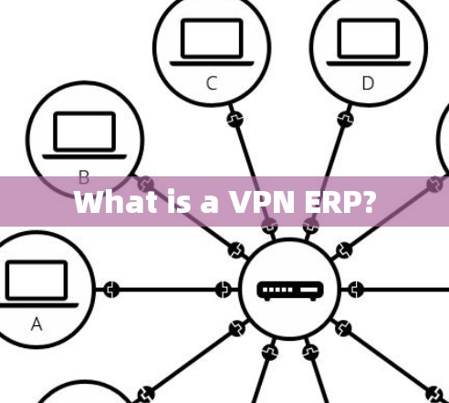 What is a VPN ERP?