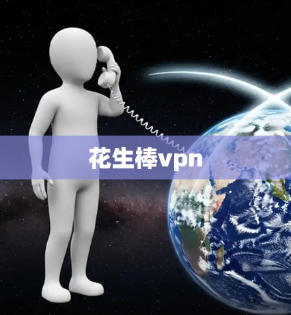 花生棒vpn 花生棒vpn