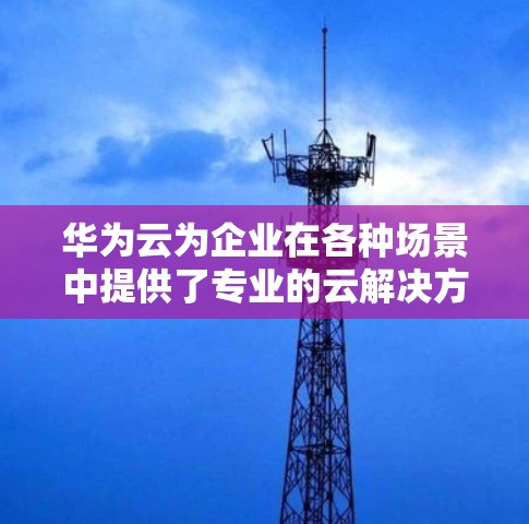 华为云为企业在各种场景中提供了专业的云解决方案，包括企业级云安全站安、虚拟网络和弹性云服务。以下是对这些解决方案的详细说明