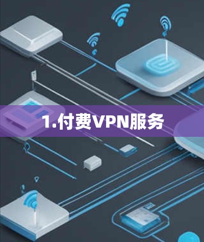 1.付费VPN服务 1.付费VPN服务