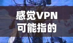 感觉VPN可能指的是用户在使用VPN时对网络环境的自由选择，而不是指VPN本身。如果你在使用VPN时遇到了问题或对网络安全感到担忧，以下是一些可能的解决方法和建议