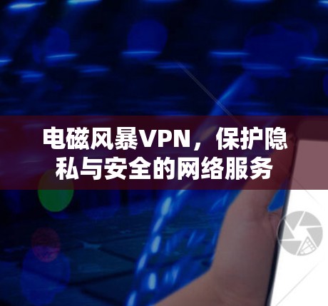 电磁风暴VPN,保护隐私与安全的网络服务 电磁风暴VPN,保护隐私与安全的网络服务