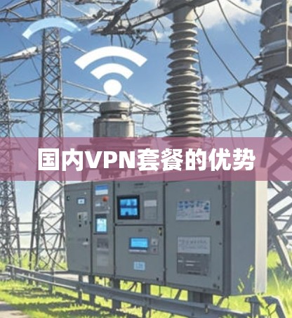 国内VPN套餐的优势 国内VPN套餐的优势