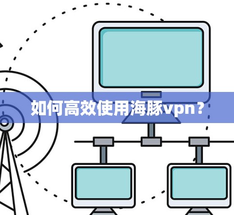 如何高效使用海豚vpn？
