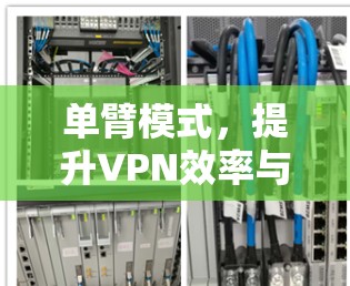 单臂模式,提升VPN效率与安全的新选择 单臂模式,提升VPN效率与安全的新选择