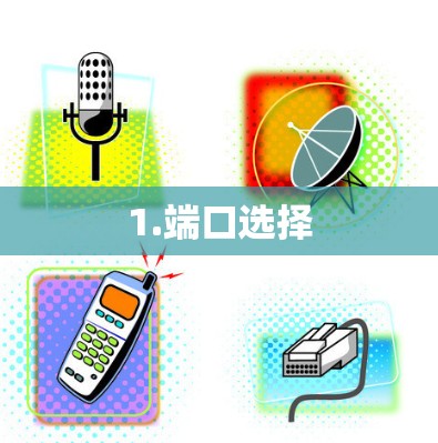 1.端口选择