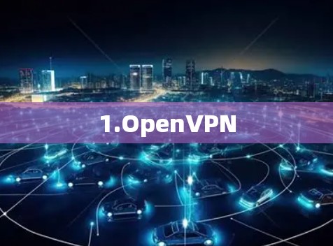 1.OpenVPN 1.OpenVPN