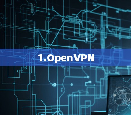 1.OpenVPN