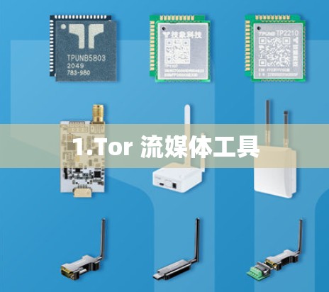 1.Tor 流媒体工具 1.Tor 流媒体工具