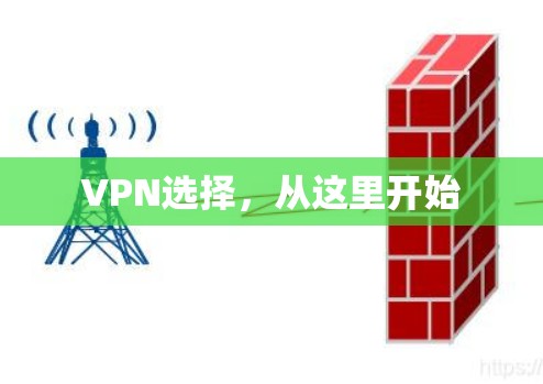 VPN选择,从这里开始 VPN选择,从这里开始