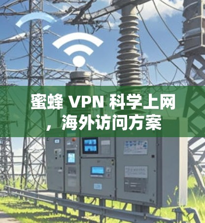 蜜蜂 VPN 科学上网,海外访问方案 蜜蜂 VPN 科学上网,海外访问方案
